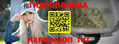 шишки Славянск-на-Кубани