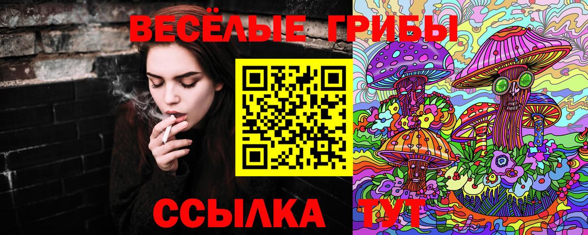 Галлюциногенные грибы Cubensis Чехов